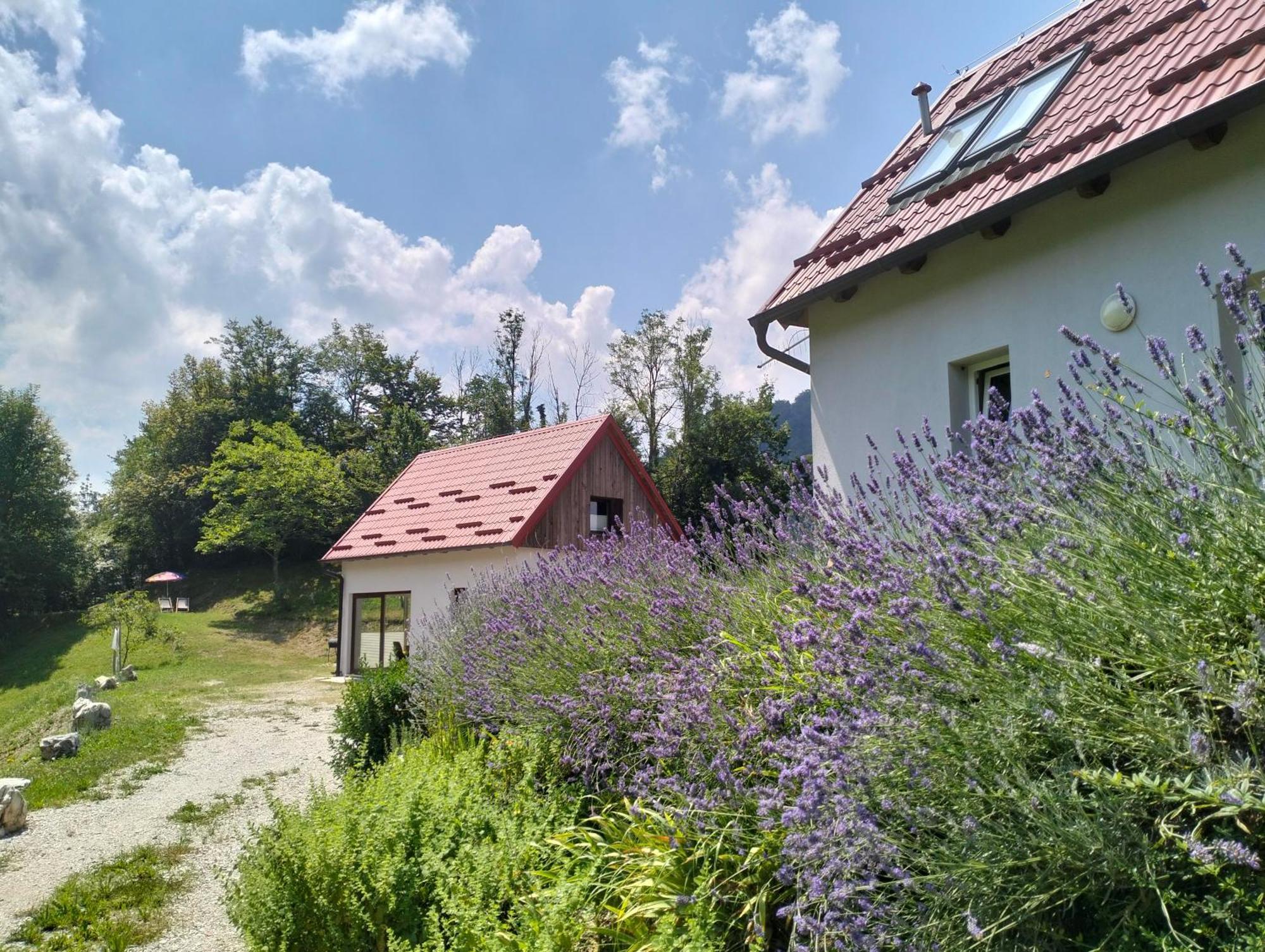 Holiday Home Dreams Kobarid Bagian luar foto